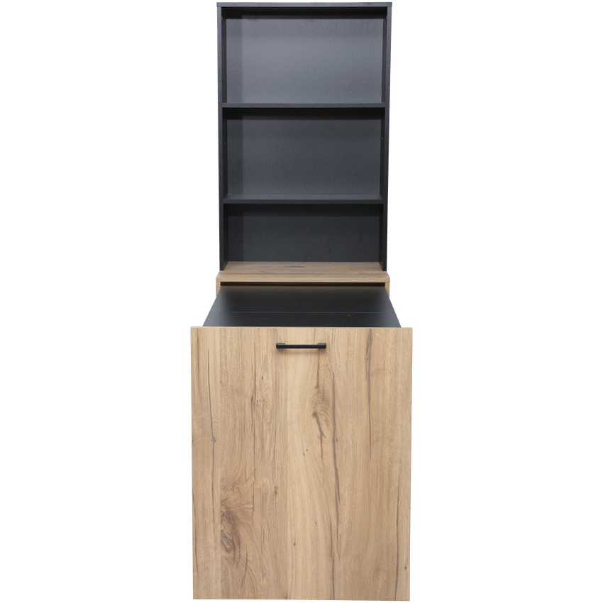 Adaptive Desk, With Bookshelf