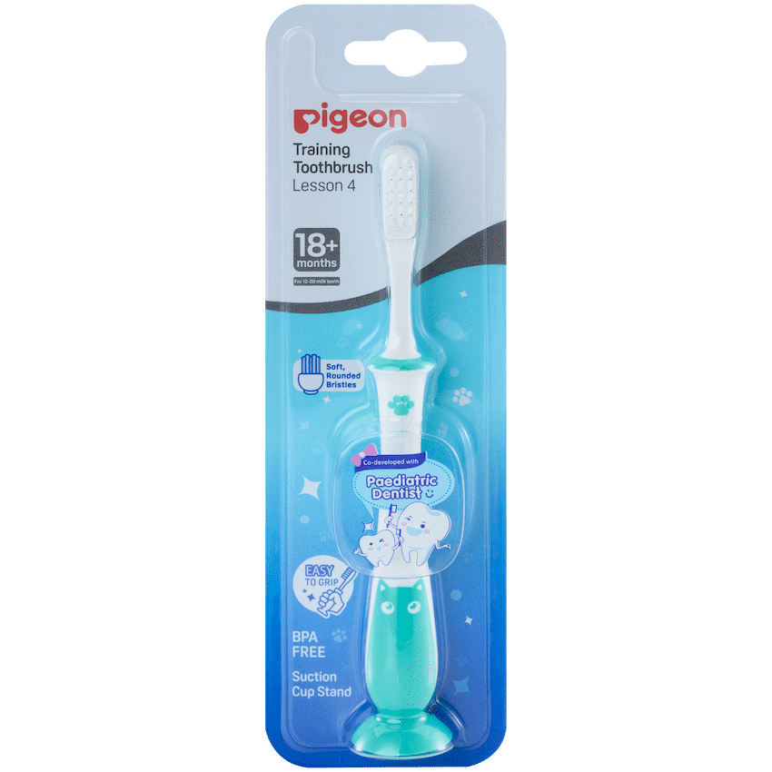 Pigeon Training Toothbrush Lesson 4 - Mint