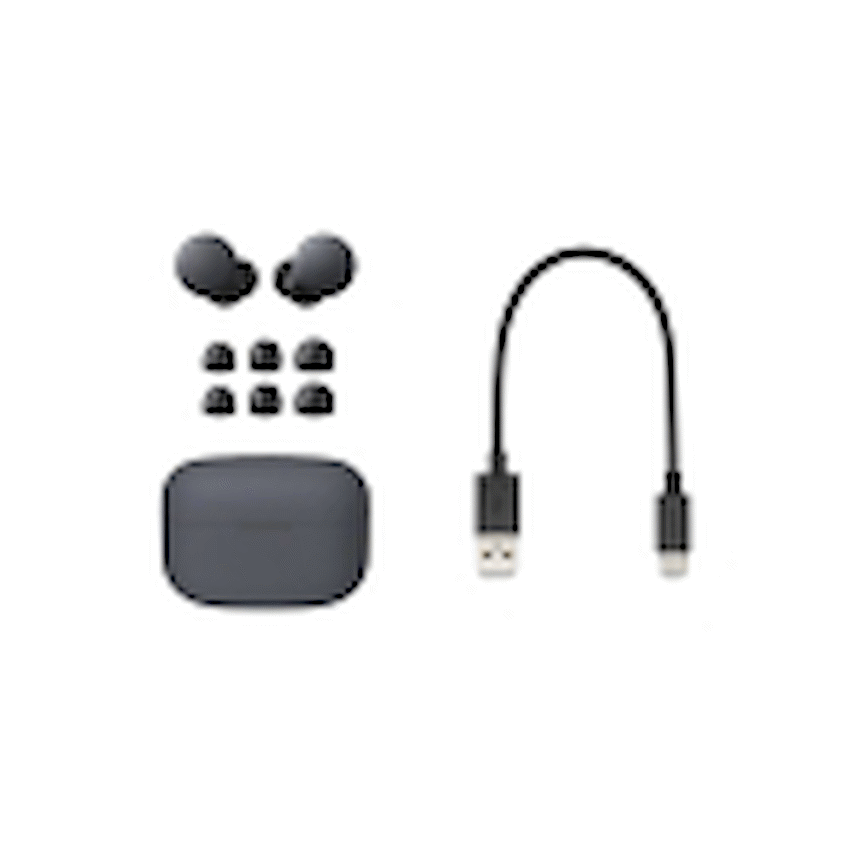 Sony LinkBuds S (Black) Noise Cancelling TWS Earphones