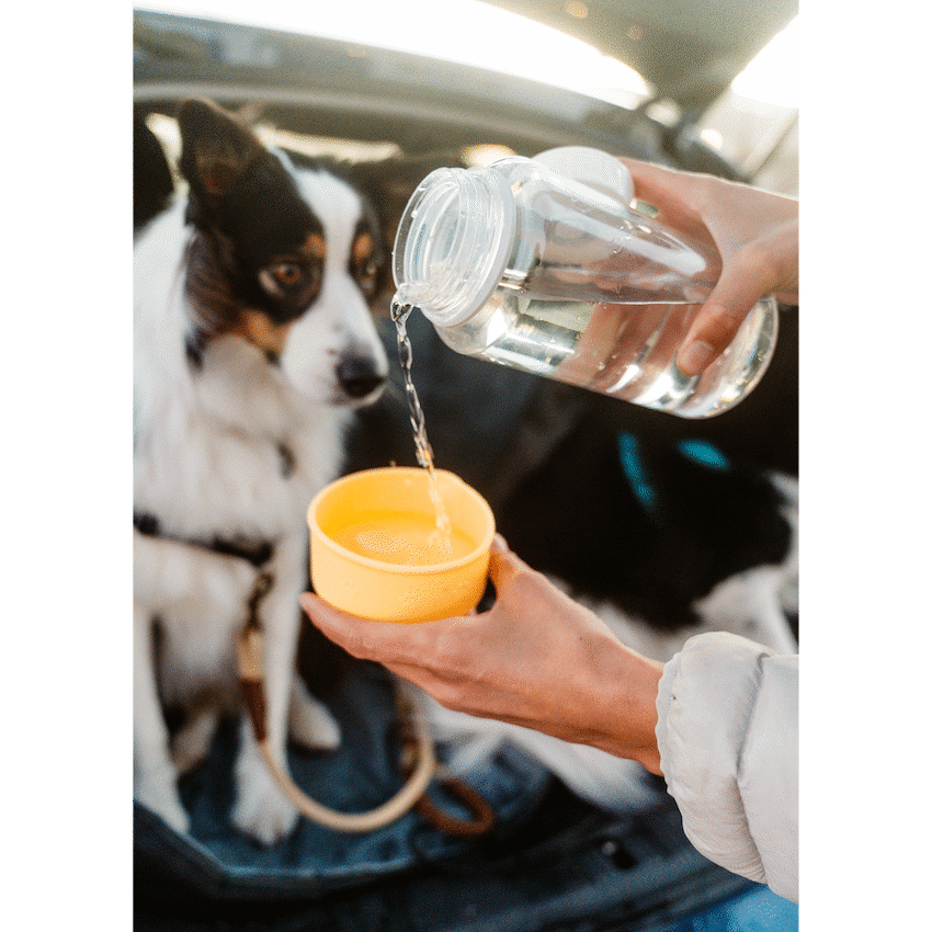LocknLock Pet Water Bottle & Bowl 1lt