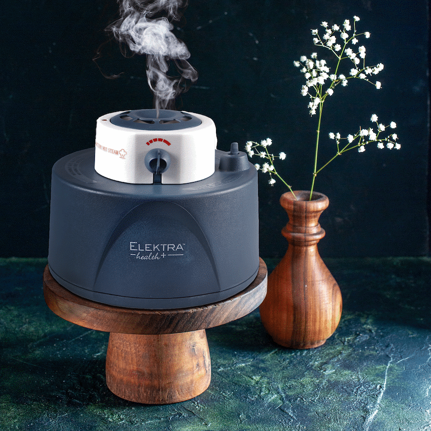 8076 - Elektra Health Warm Steam Humidifier 3l