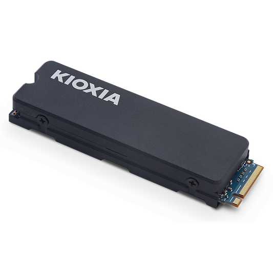 KIOXIA EXCERIA Heatsink NVMeTM Series, M.2 2280 1000GB