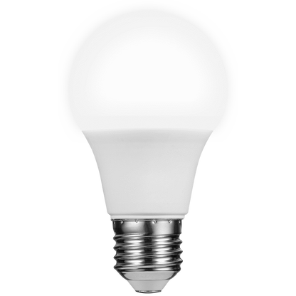 Switched 5w A60 Light Bulb E27 - Cool White