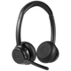 Headsets (Computer Peripherals)