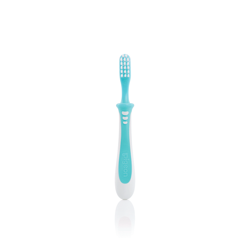 Pigeon - Training Toothbrush Lesson 3 - Green