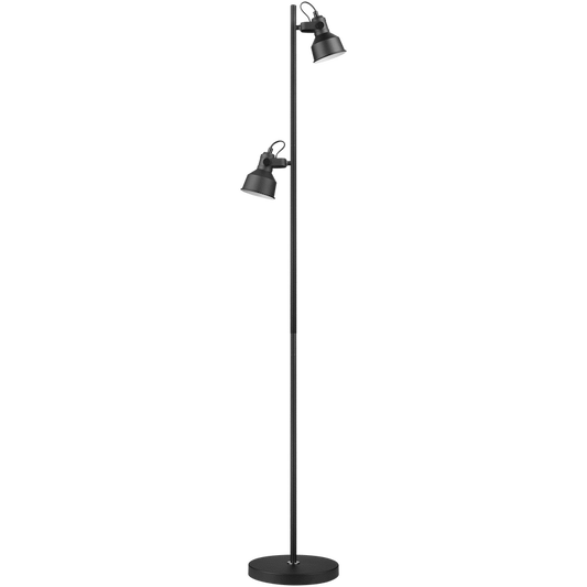 Switched Rosara Series Metal Floor Lamp - Black