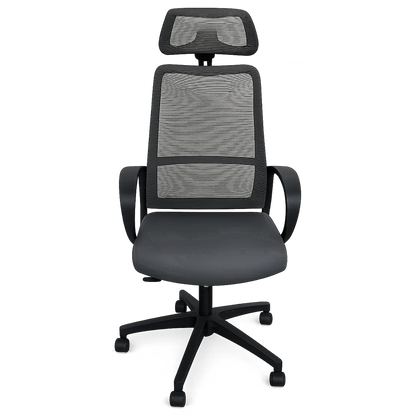 Everfurn Nova High Back Office chair