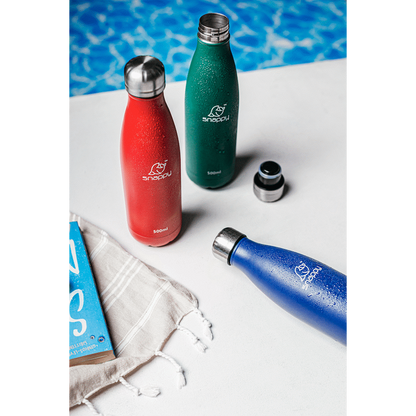 Snappy Stainless Steel Vacuum Bottle 500ml - Emerald