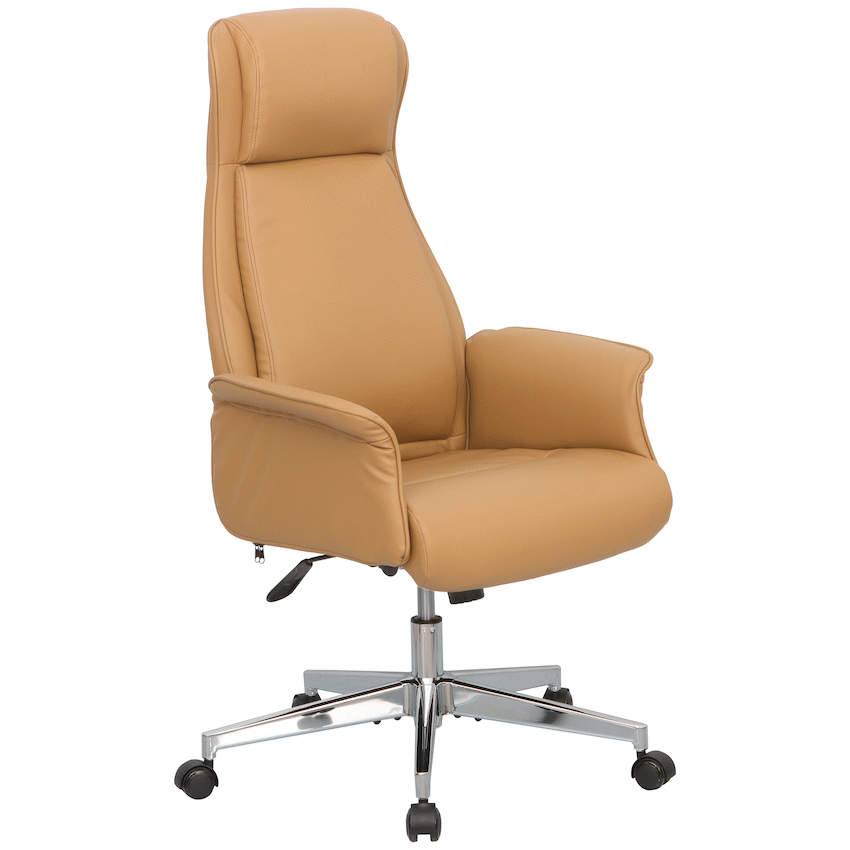 Everfurn Palmer Manager Office Chair