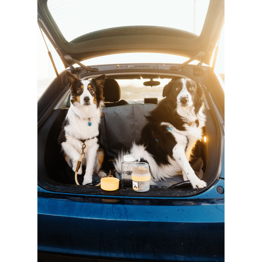 LocknLock Pet food container 360+310ml ( Order in Qty of 6)