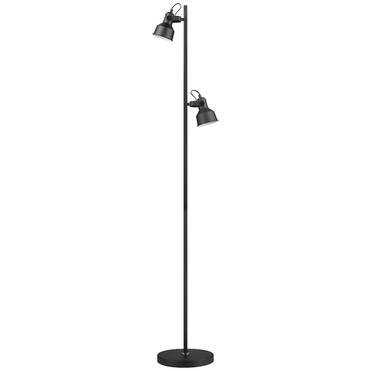 Switched Rosara Series Metal Floor Lamp - Black