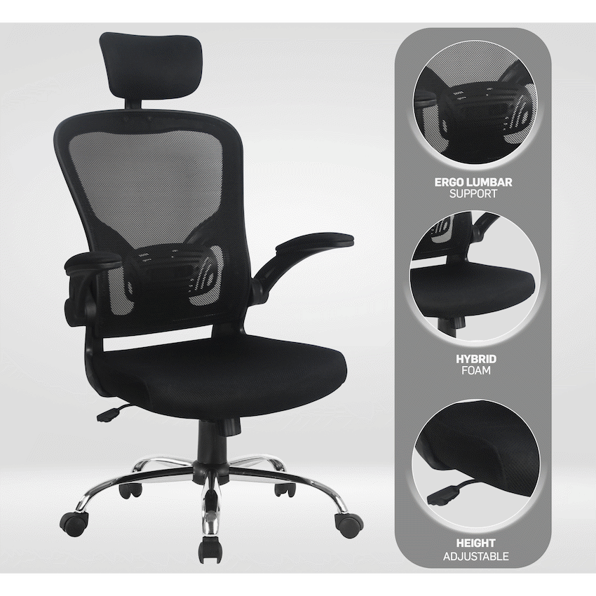 Everfurn Stagio Ergo High Back Office Chair