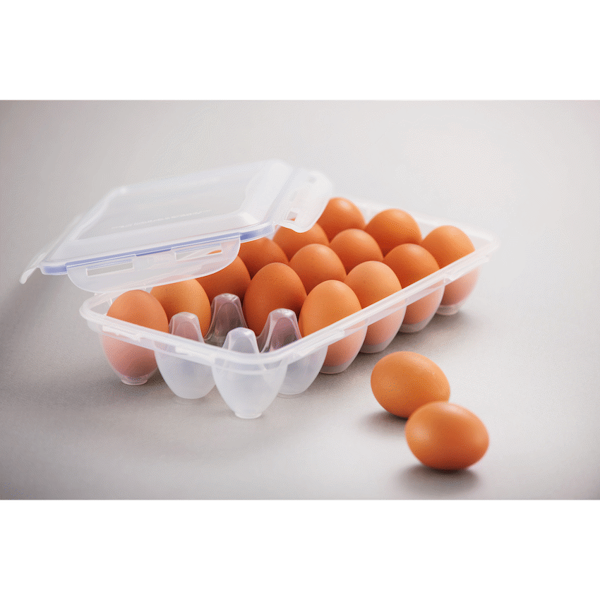 LocknLock 18 egg container ( Order in Qty of 3)