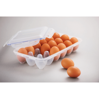 LocknLock 18 egg container ( Order in Qty of 3)