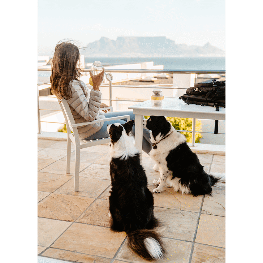LocknLock Pet Water Bottle & Bowl 1lt