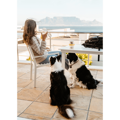 LocknLock Pet Water Bottle & Bowl 1lt