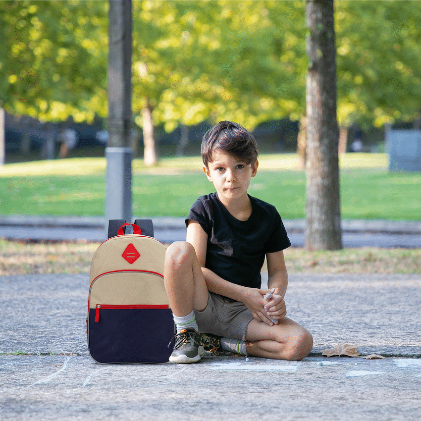 Quest Walter 20l Backpack - Navy/Tan