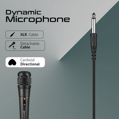 Amplify Wired Mic