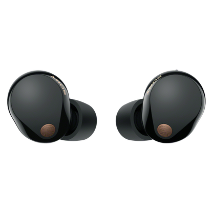 Sony WF-1000XM5 (Black) Premium TWS Earphones