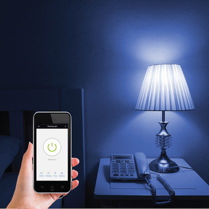 Smart Wi-Fi Switch 10a