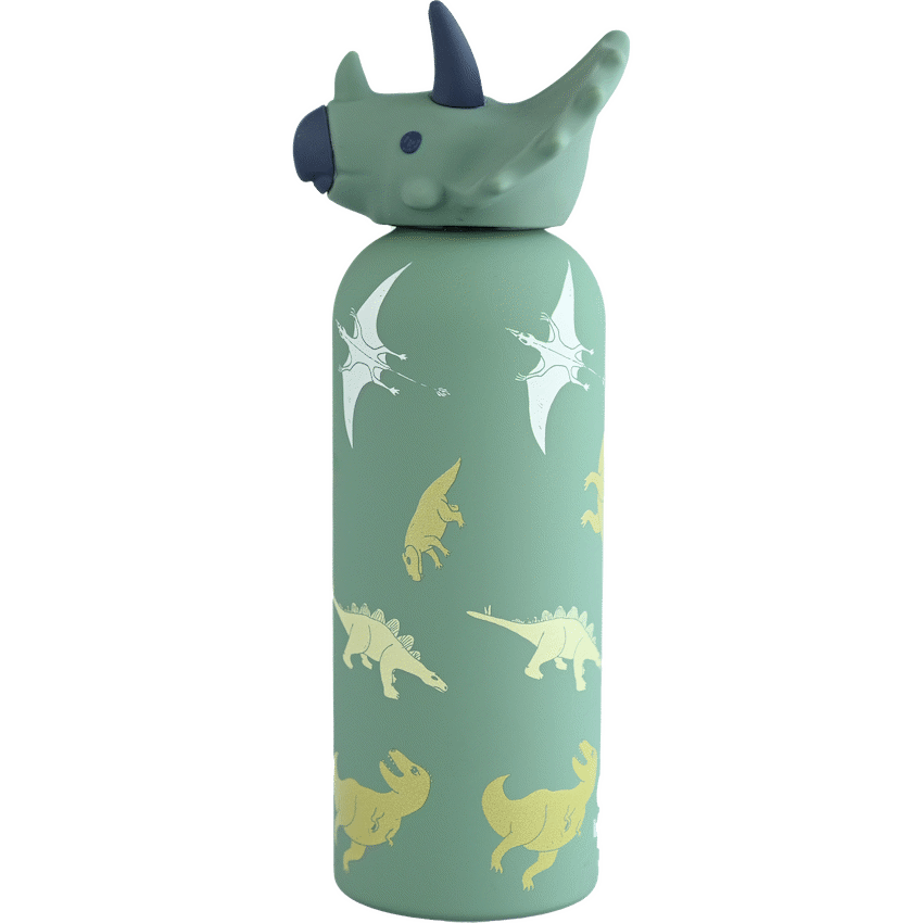 Loop&Co 500ml Water Bottle - Dinosaur