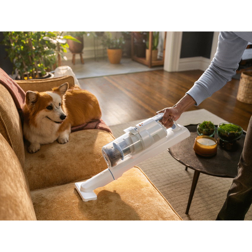 BISSELL PowerClean FurFinder ( Order in Qty of 1)