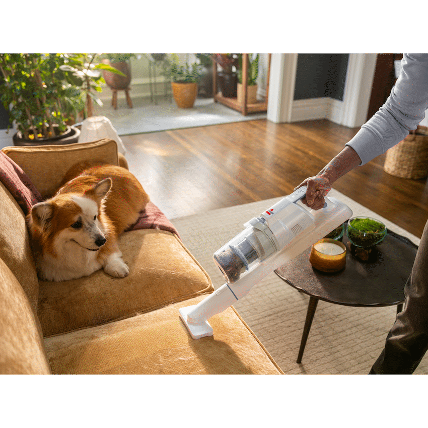 BISSELL PowerClean FurFinder ( Order in Qty of 1)