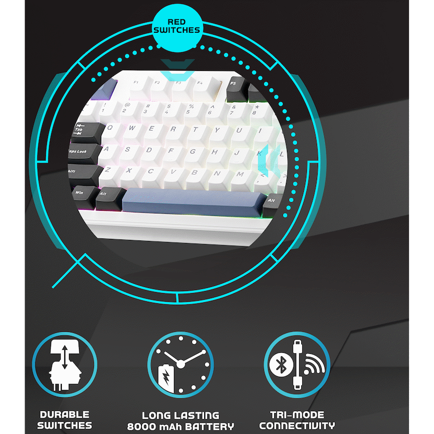 Volkano Gaming Obsidian X1 TKL Mechanical Tri-mode keyboard with Red switches