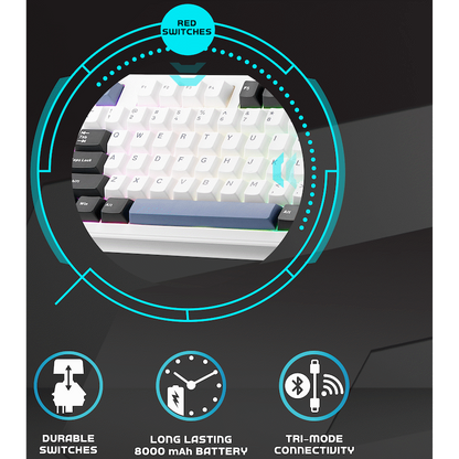 Volkano Gaming Obsidian X1 TKL Mechanical Tri-mode keyboard with Red switches