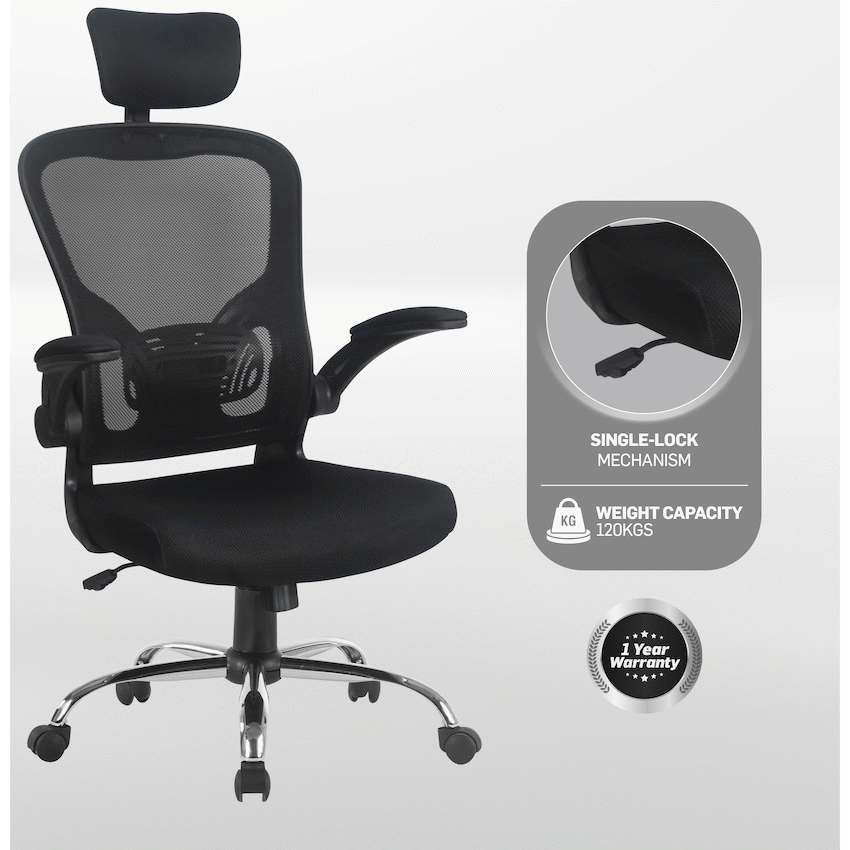 Everfurn Stagio Ergo High Back Office Chair