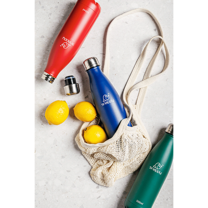 Snappy Stainless Steel Vacuum Bottle 500ml - Emerald