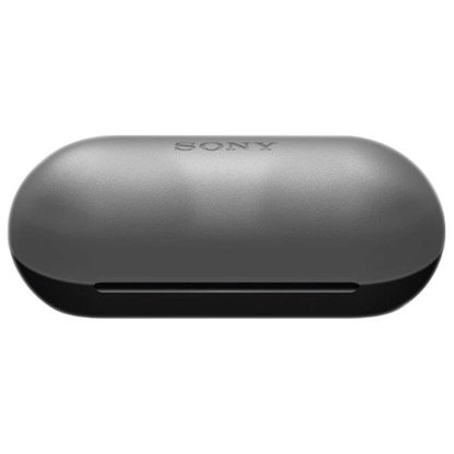 Sony WF-C500 (Black) True Wireless Earbuds
