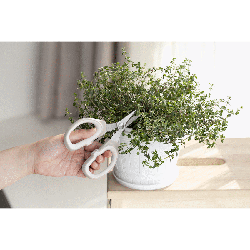 Kitchen Inspire Kitchen Scissors Small ( Order in Qty of 6)