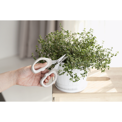 Kitchen Inspire Kitchen Scissors Small ( Order in Qty of 6)