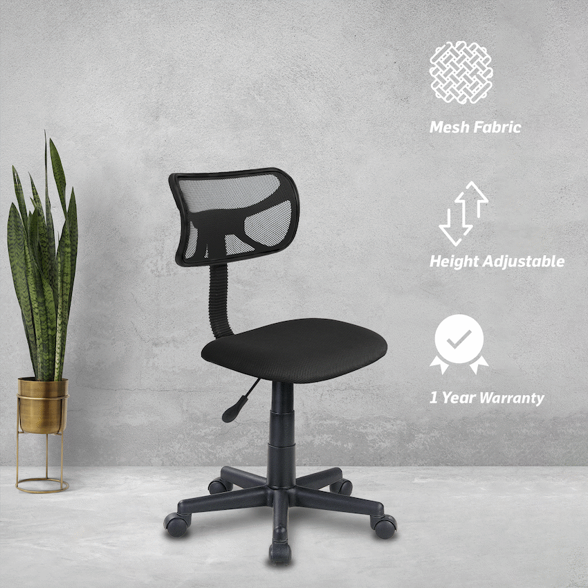 Everfurn Julia Chair