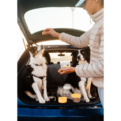 LocknLock Pet food container 360+310ml ( Order in Qty of 6)