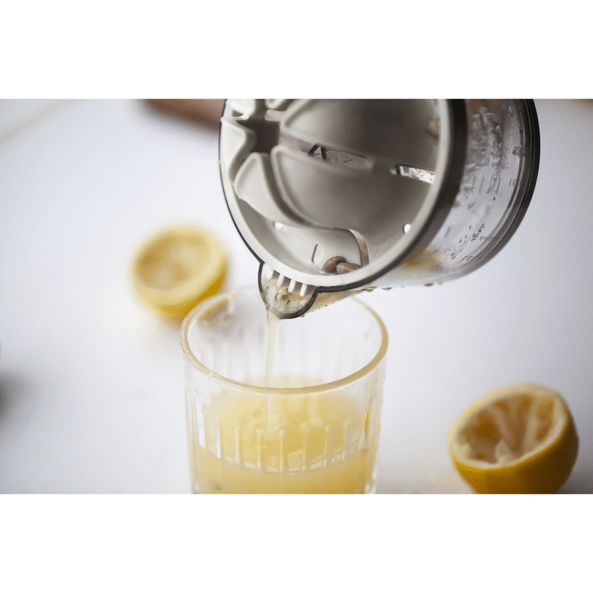 Kitchen Inspire Dual Juicer ( Order in Qty of 6)