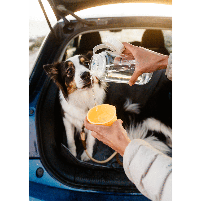 LocknLock Pet Water Bottle & Bowl 1lt