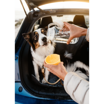 LocknLock Pet Water Bottle & Bowl 1lt