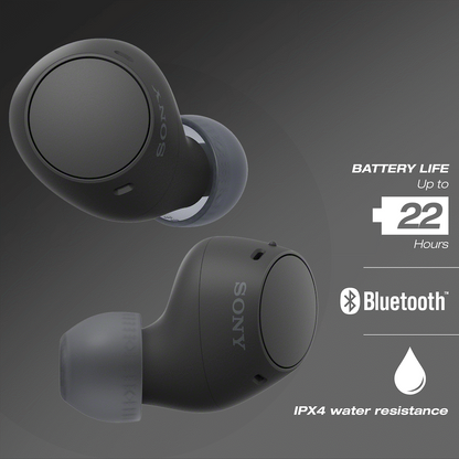 Sony C510 TWS Black