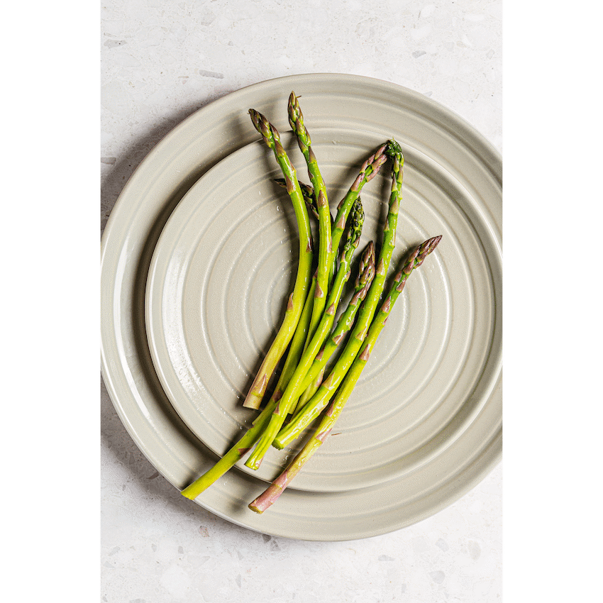 Legend Premium Stoneware 4pc plate 21cm