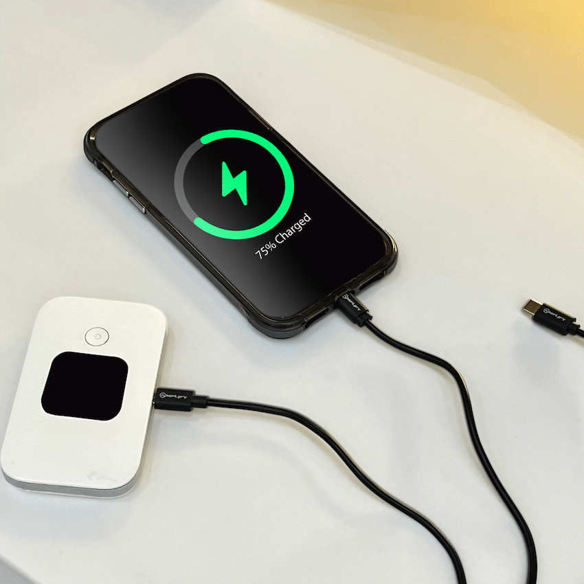 Amplify On the Fly 3-in-1 Charging Cable 1m