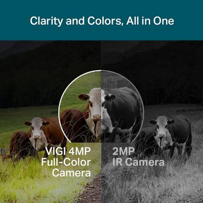 TP-Link Vigi C540-4G 4MP 4mm Outdoor Full-Color 4G PT Network Camera