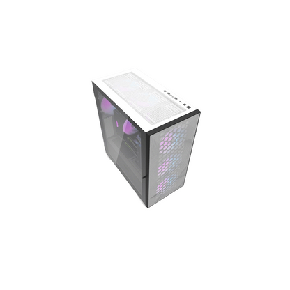 darklFlash E-ATX Computer Case  DLX21 Mesh - White