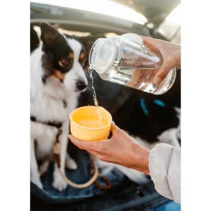 LocknLock Pet Water Bottle & Bowl 1lt