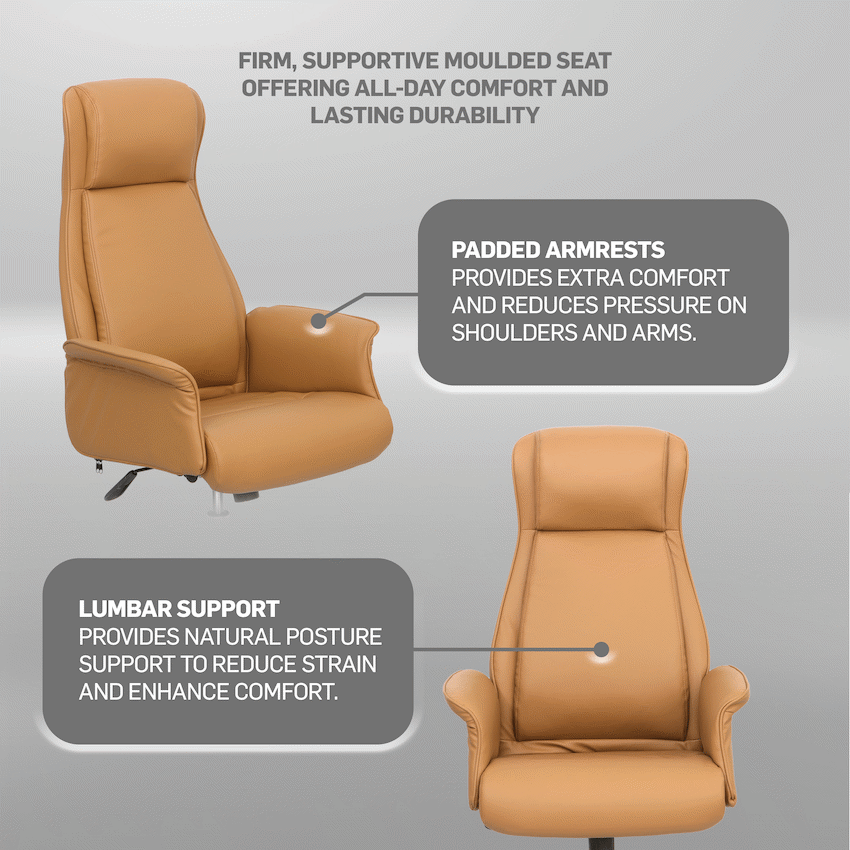 Everfurn Palmer Manager Office Chair