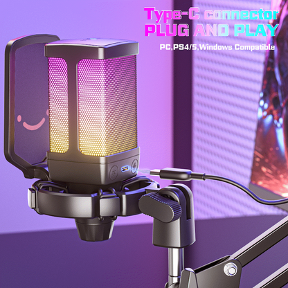 Fifine Q6T Microphone with Pop Filter and Shock Mount Kit