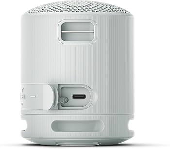 Sony XB100 Portable Bluetooth Speak - Light Grey