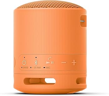 Sony XB100 Portable Bluetooth Speak - Orange