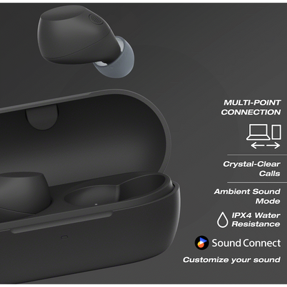 Sony WF-C710N True Wireless Earbuds (Black)